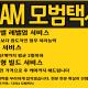 TEAM모범택시