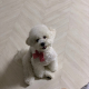 쎄민
