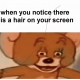 왕짱초보