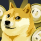 Dogezz