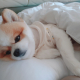 영웅아저씨