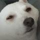 막나가는우니