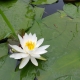 대콤