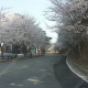 공굴