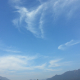 붙어서달료