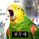 anwhrjs1