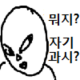 momo123