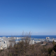 맨땅아마존