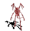 [Barn_Spider]