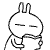 [토끼25]